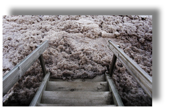 Sea Foam and Steps